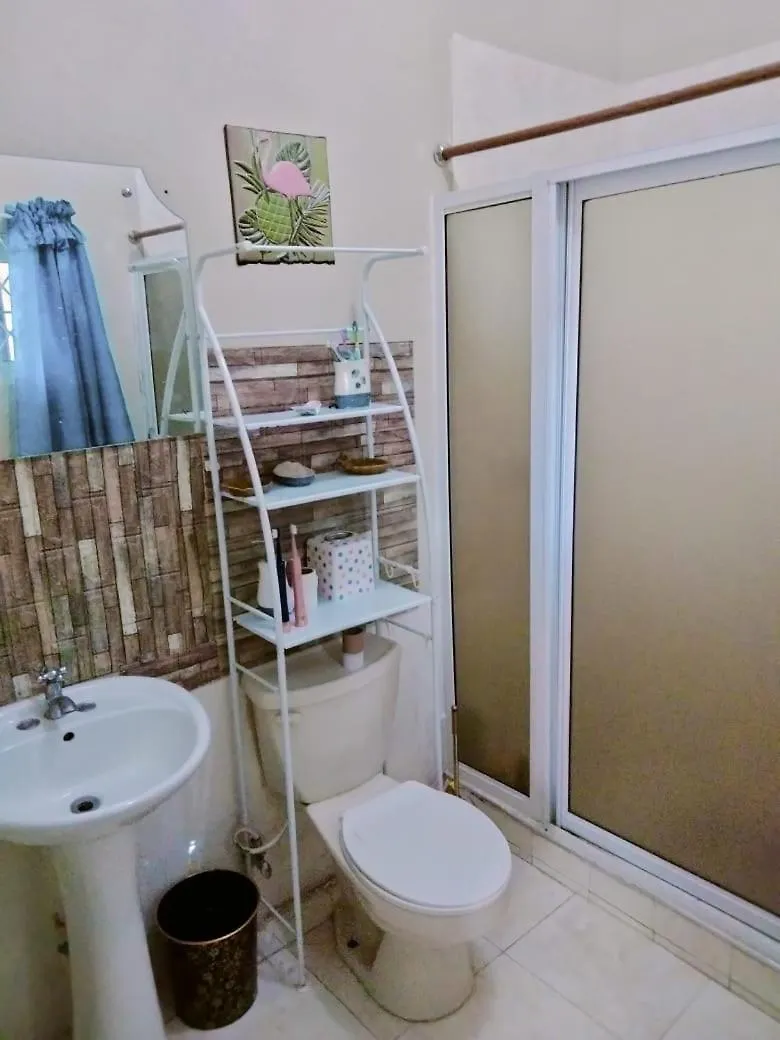 Doug Manor Apartment Portmore
